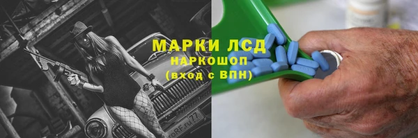 эйфоретик Алзамай