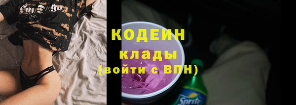 эйфоретик Алзамай