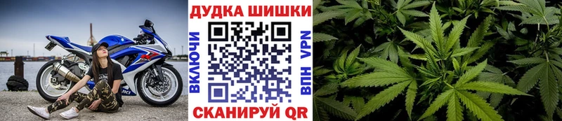 Конопля марихуана  Ивантеевка 